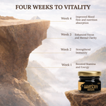Shilajit Resin